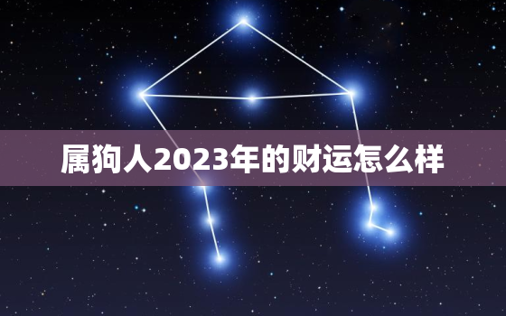 属狗人2023年的财运怎么样，属狗2023年的运势及运程