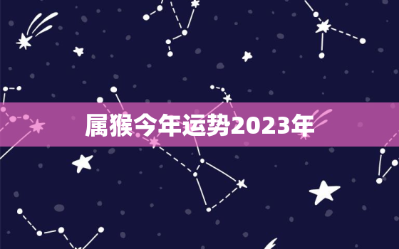 属猴今年运势2023年，属猴人今年运势2023年每月运势