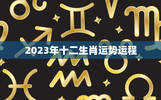 2023年十二生肖运势运程，12生肖运势2023年运势详解势详解