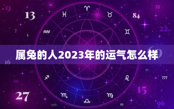 属兔的人2023年的运气怎么样，87年属兔人最穷不过36岁