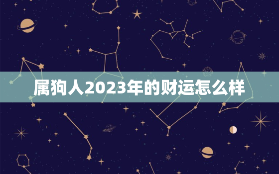 属狗人2023年的财运怎么样，属狗的2023年财运各方面怎么样?