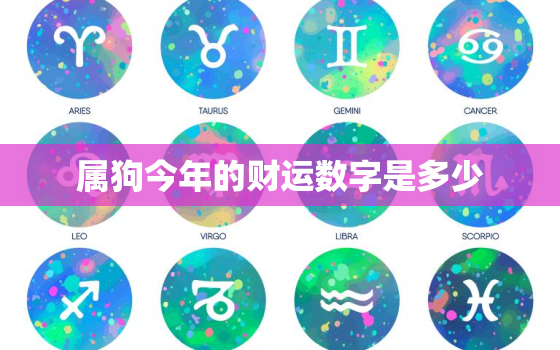 属狗今年的财运数字是多少，属狗的今年的财运怎么样