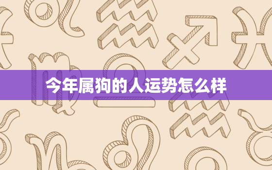 今年属狗的人运势怎么样，今年属狗的人运程怎么样