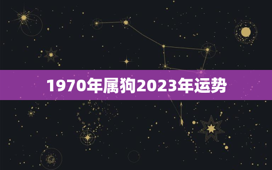 1970年属狗2023年运势，1982年属狗人一生命运