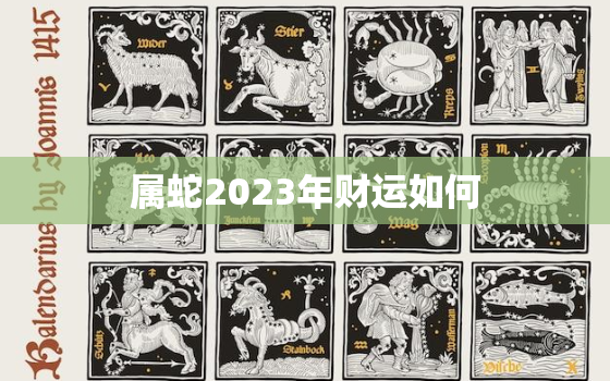 属蛇2023年财运如何，属蛇的2023年运势如何