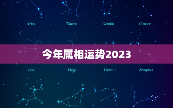 今年属相运势2023，今年属相运势2022排行榜