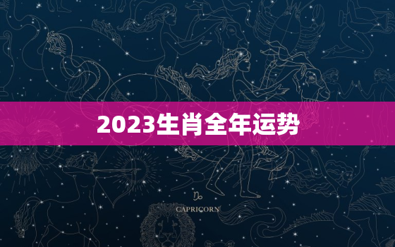 2023生肖全年运势，生肖运势2023年运势大全