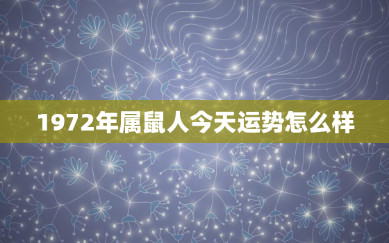 1972年属鼠人今天运势怎么样，72年鼠人今日运势如何