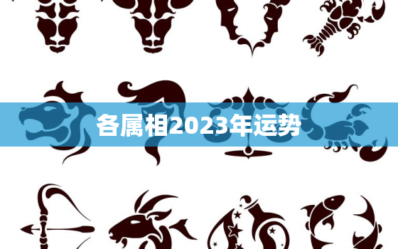 各属相2023年运势，2023年各生肖运程