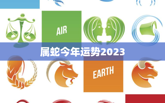 属蛇今年运势2023，属蛇今年运势2021女