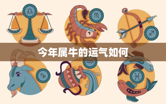 今年属牛的运气如何，今年属牛的运气咋样