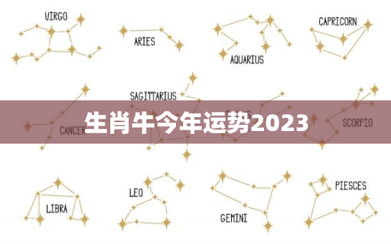 生肖牛今年运势2023，生肖牛今年运势2020