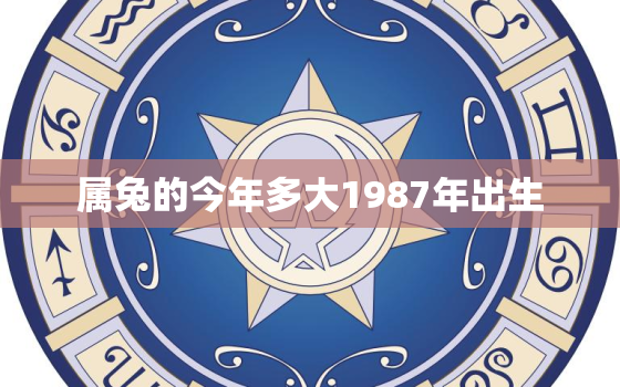 属兔的今年多大1987年出生，属相兔今年多大了1987