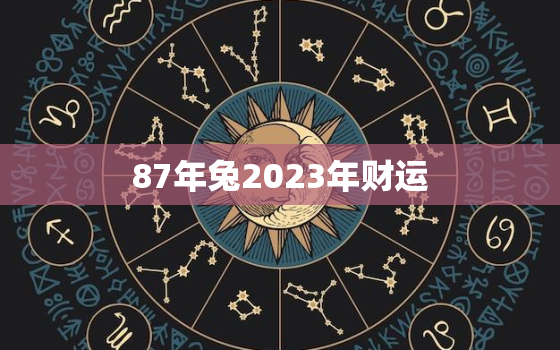 87年兔2023年财运，87年的兔子2023年运势