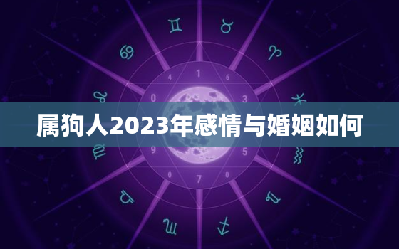 属狗人2023年感情与婚姻如何，属狗人2023年感情与婚姻如何样