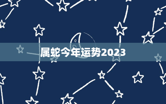 属蛇今年运势2023，属蛇今年运势2022年每月运势