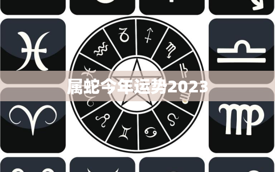 属蛇今年运势2023，属蛇今年运势2022年运势