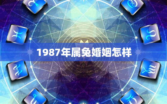 1987年属兔婚姻怎样，1987年属兔的婚姻状况