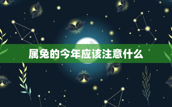 属兔的今年应该注意什么，属兔的今年应该注意什么呢