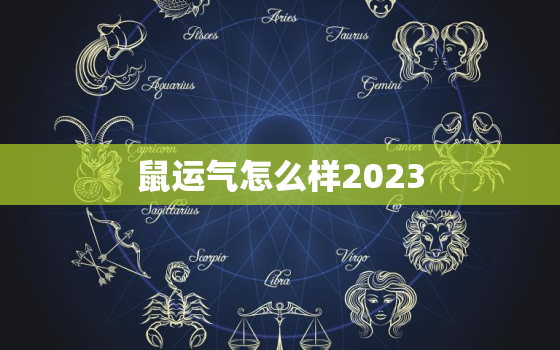 鼠运气怎么样2023，属鼠2o23年运势