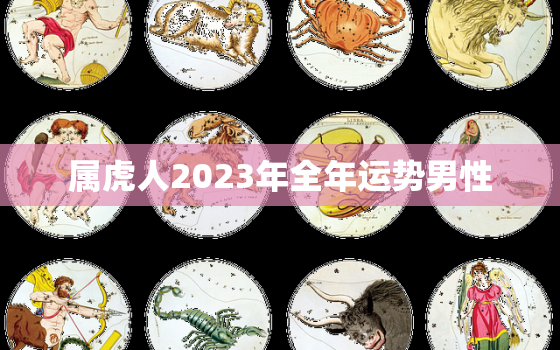 属虎人2023年全年运势男性，属虎人2023年全年运势 女性