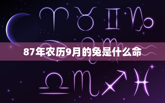 87年农历9月的兔是什么命，87年农历9月的兔子