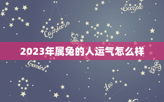 2023年属兔的人运气怎么样，2023年属兔人的运气如何