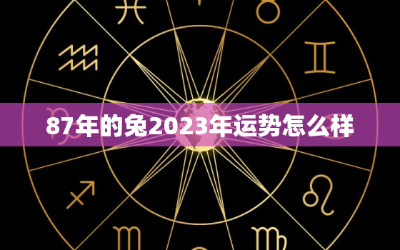 87年的兔2023年运势怎么样，1987年的兔2023年运势怎么样