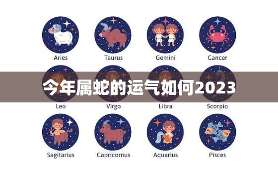 今年属蛇的运气如何2023，今年属蛇的运气如何2020