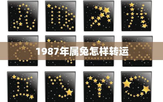 1987年属兔怎样转运，1987属兔转折点