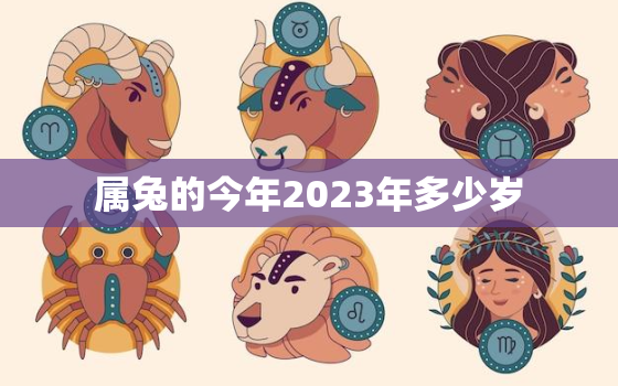 属兔的今年2023年多少岁，2032年属兔的多大