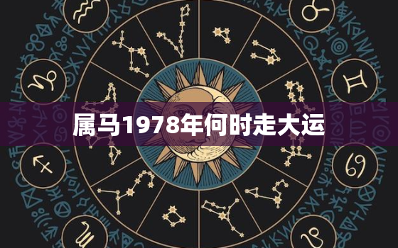 属马1978年何时走大运，属马人
爱何时出现