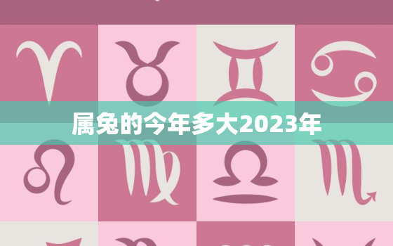 属兔的今年多大2023年，属兔的今年多大2022