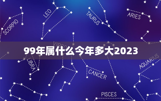 99年属什么今年多大2023，99年属什么今年多大2022