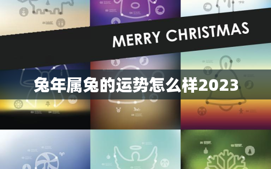 兔年属兔的运势怎么样2023，属兔2023年运势及运程_2021年属兔人的全年运势