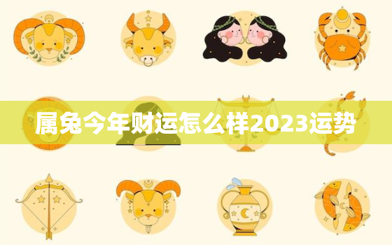 属兔今年财运怎么样2023运势，属兔今年财运怎么样2023运势怎么样