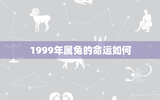 1999年属兔的命运如何，1999年属兔命理