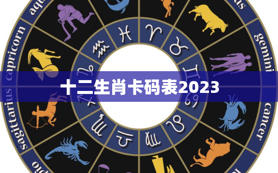 十二生肖卡码表2023，2020年十二生肖
码