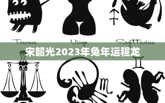 宋韶光2023年兔年运程龙，宋韶光属龙运势