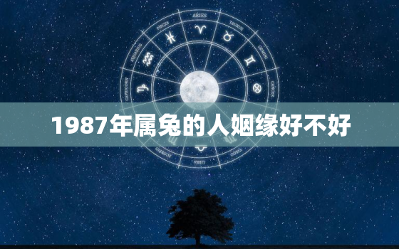 1987年属兔的人姻缘好不好，1987年属兔的婚姻算命