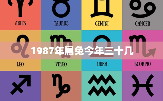 1987年属兔今年三十几，87年属兔33岁2021年