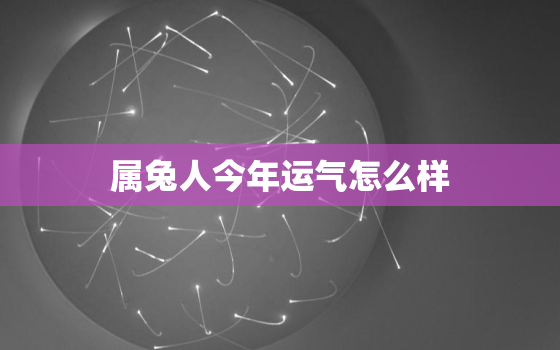 属兔人今年运气怎么样，属兔人今年运气怎么样男