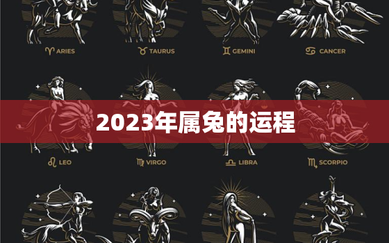 2023年属兔的运程
，2023年属兔年运势