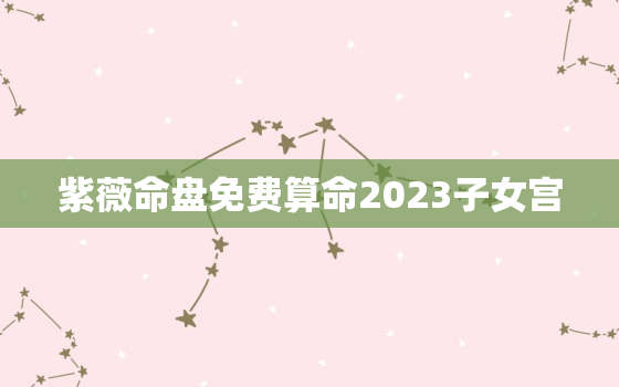 紫薇命盘免费算命2023子女宫，2023
