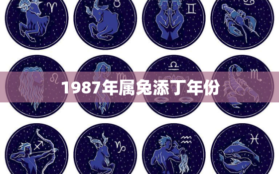 1987年属兔添丁年份，2023黑兔年百年一遇