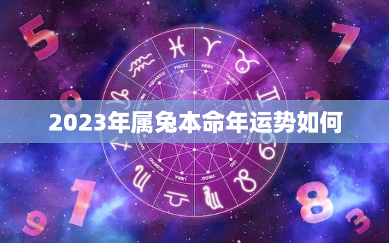 2023年属兔本命年运势如何，2023年本命年