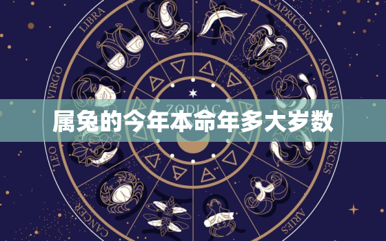 属兔的今年本命年多大岁数，属兔本命年多大?