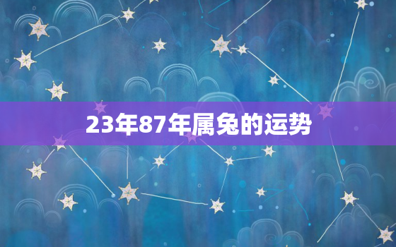 23年87年属兔的运势，23年87年属兔的运势和财运