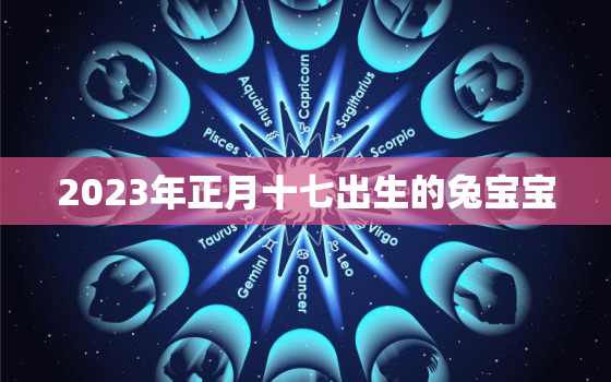 2023年正月十七出生的兔宝宝，2023年正月十八