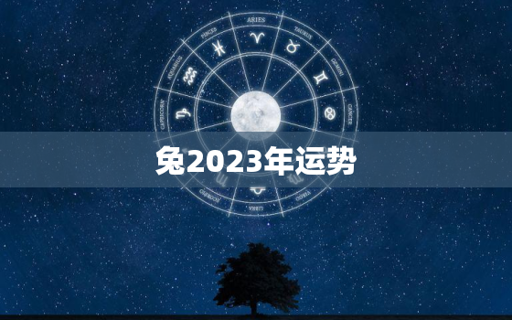 兔2023年运势
，生肖兔2023年运势
